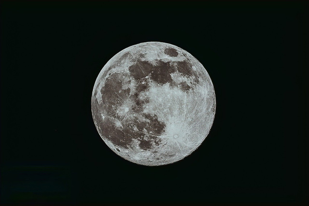 NASA propose des plants d'arbres qui ont fait le tour de la lune