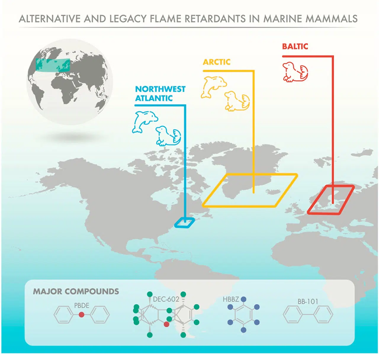 Océans en danger : Les Mammifères Marins intoxiqués par nos déchets chimiques jusqu'en Arctique ! Océans en danger : Les Mammifères Marins intoxiqués par nos déchets chimiques jusqu'en Arctique !