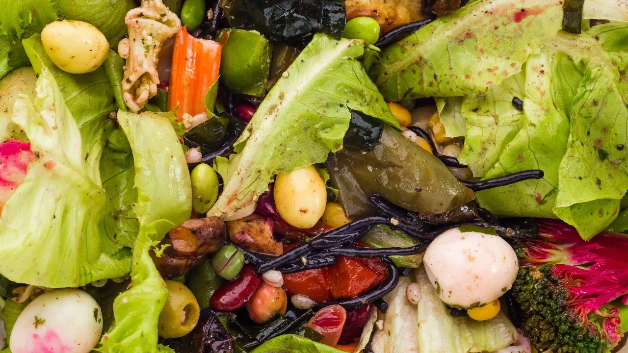 Journée internationale de sensibilisation aux pertes et gaspillages de nourriture : Le 29 septembre 2023 Journée internationale de sensibilisation aux pertes et gaspillages de nourriture : Le 29 septembre 2023