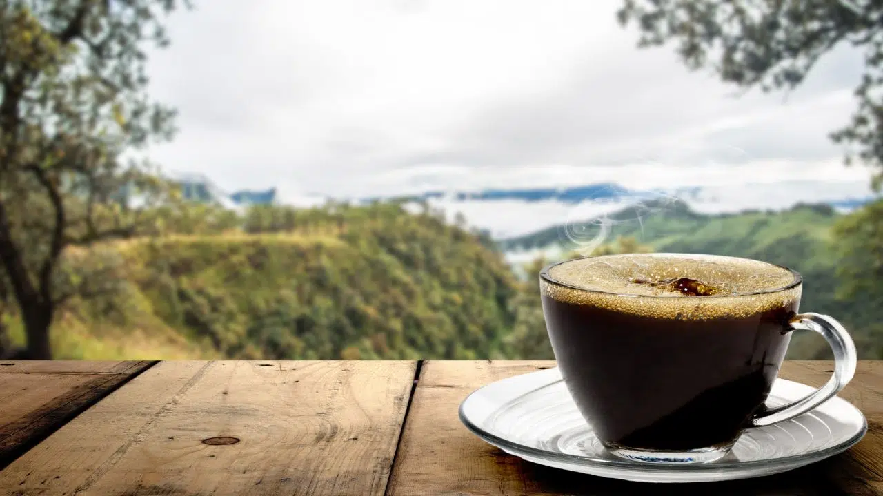Journée Internationale du Café : le 1 octobre 2023 Journée Internationale du Café : le 1 octobre 2023