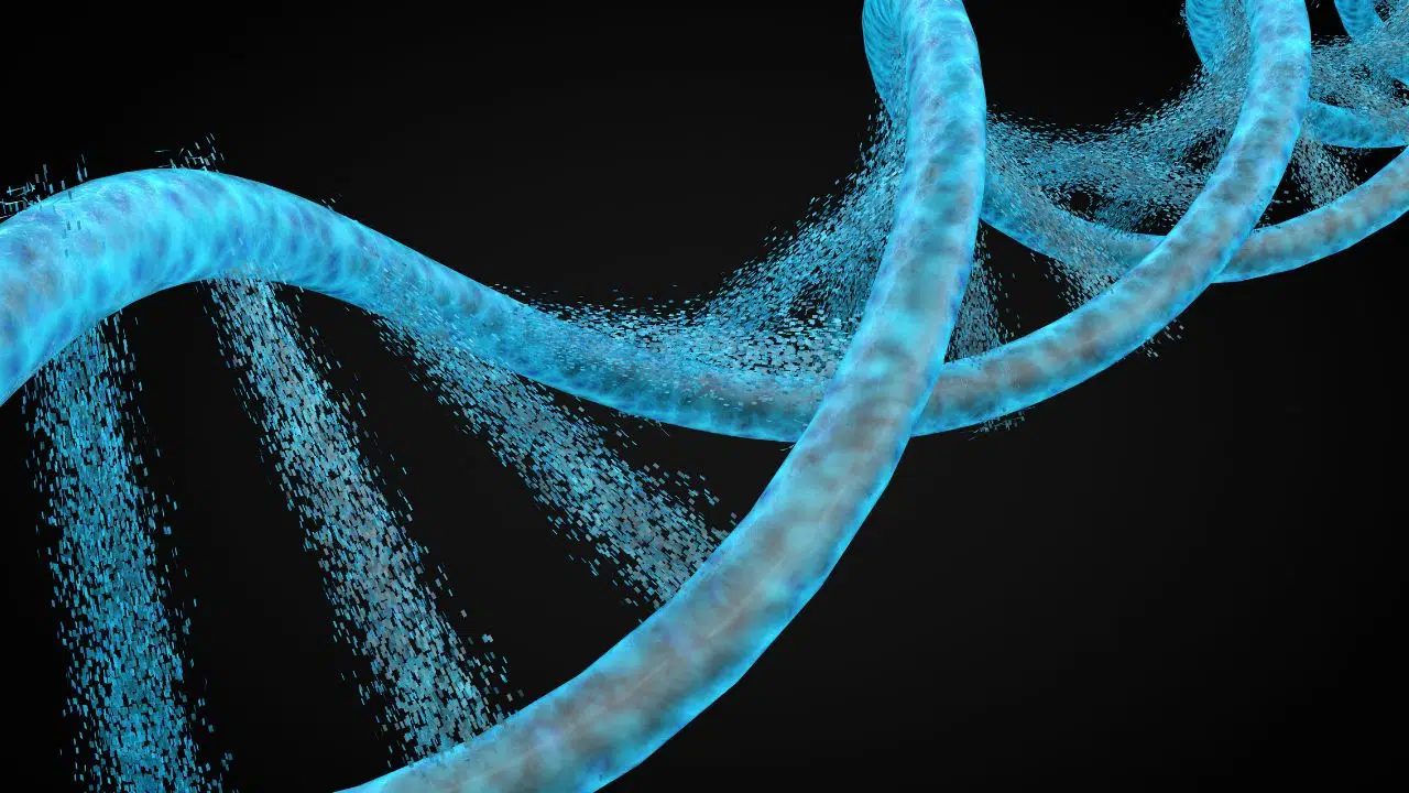 Astraveus décroche une subvention de 10,4 millions d'euros : Un nouvel élan pour les thérapies cellulaires et géniques en France