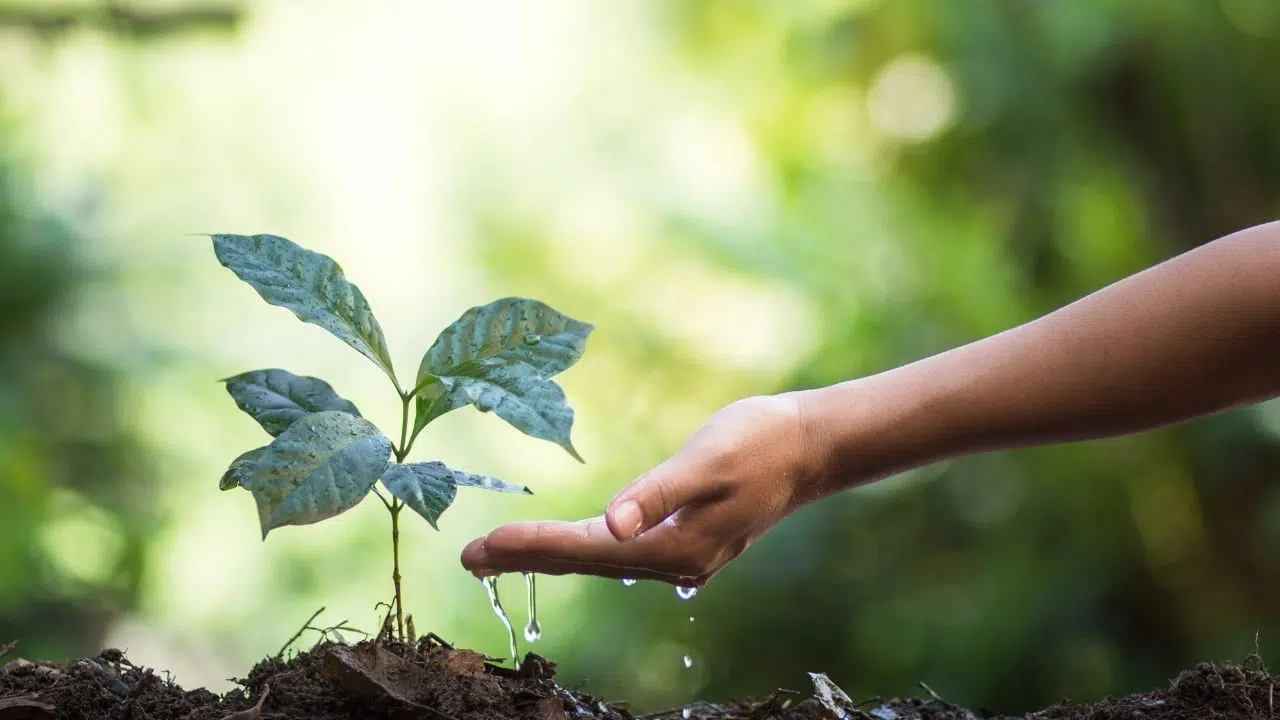 EPEAT Climate+ ASUS établit une nouvelle norme d'excellence écologique. EPEAT Climate+ ASUS établit une nouvelle norme d'excellence écologique.