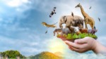 Leboncoin intensifie sa lutte contre le trafic d’animaux sauvages