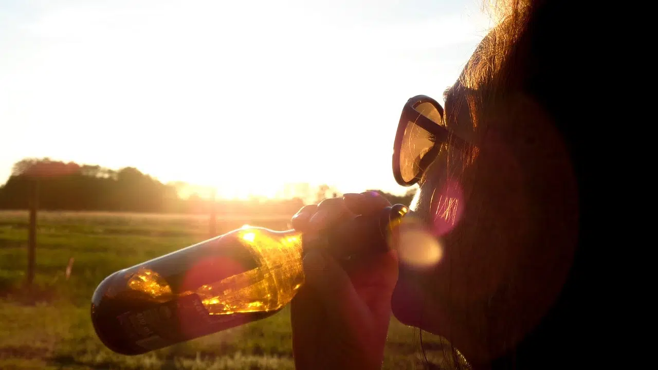 C'est arrivé un 17 octobre : première fête de la bière en Allemagne en 1810 C'est arrivé un 17 octobre : première fête de la bière en Allemagne en 1810