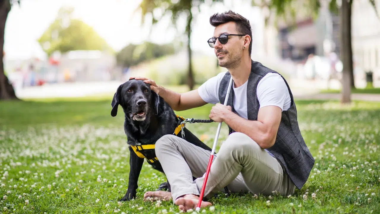 Journée internationale de la canne blanche Journée internationale de la canne blanche