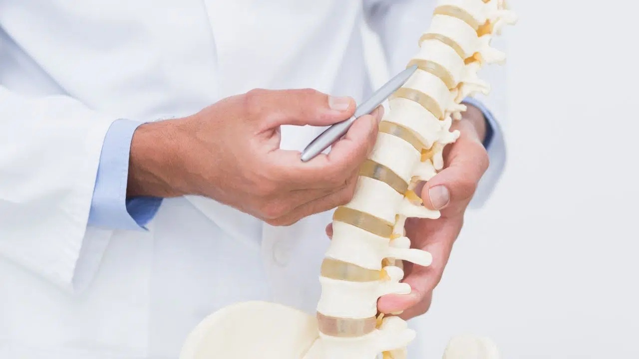 Journée mondiale de la colonne vertébrale : le 16 octobre 2023 Journée mondiale de la colonne vertébrale : le 16 octobre 2023