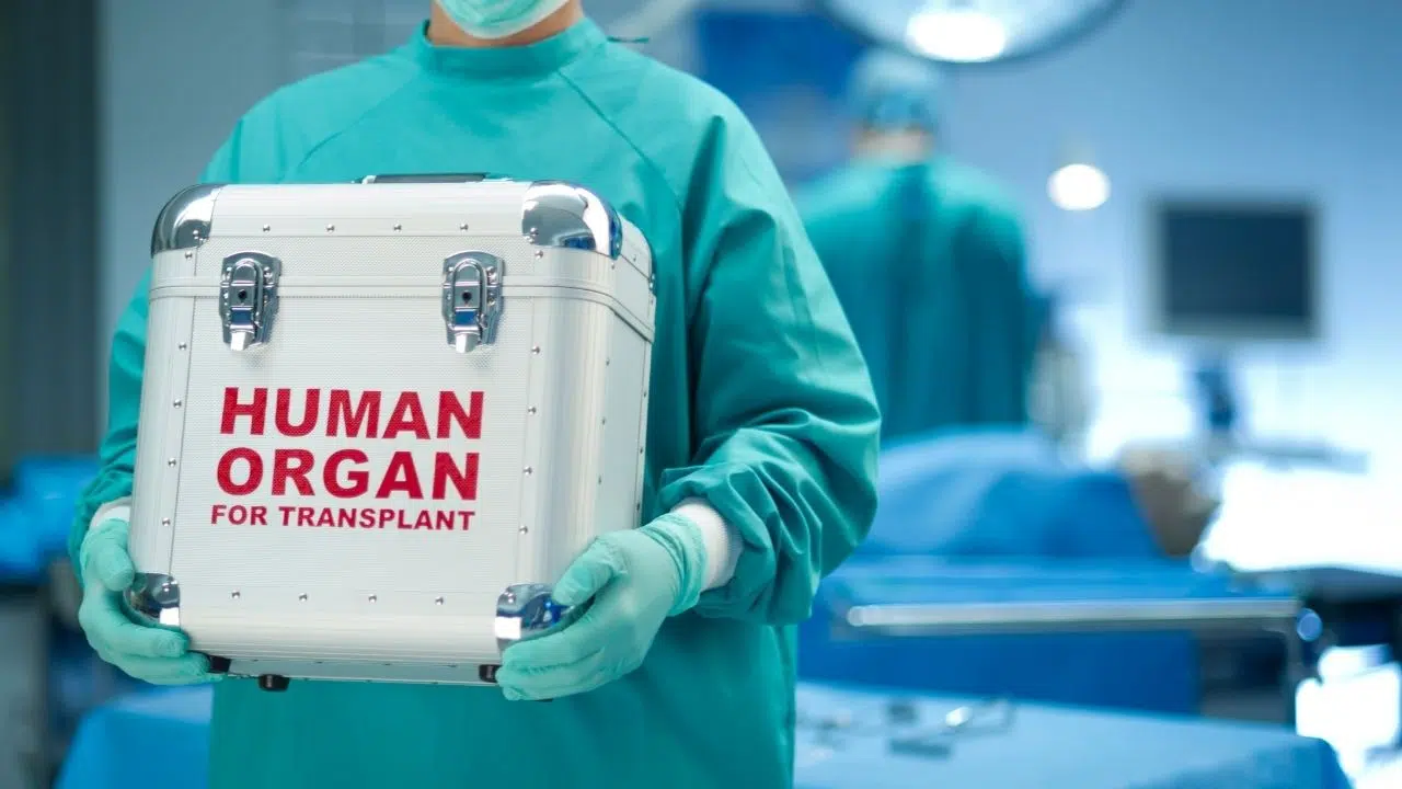 La Journée mondiale du don d'organes et de la greffe : le 17 octobre 2023