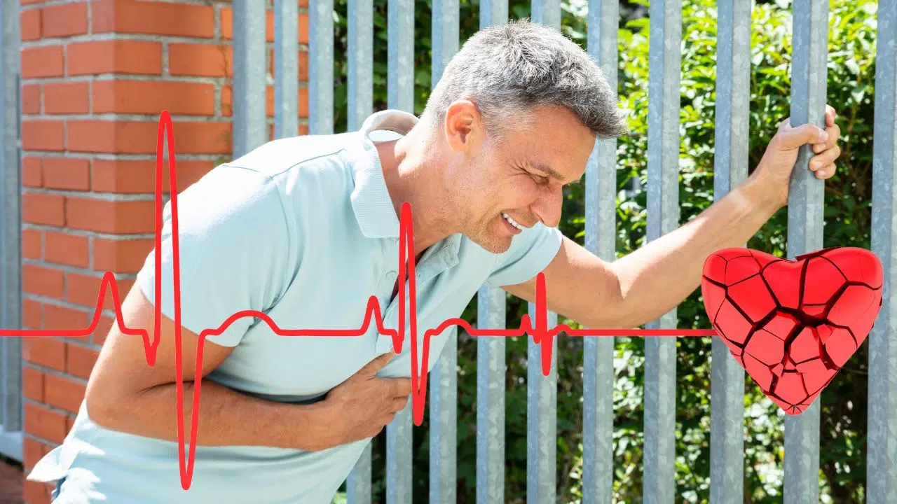 Journée mondiale des accidents vasculaires cérébraux (AVC) : le 29 octobre 2023 Journée mondiale des accidents vasculaires cérébraux (AVC) : le 29 octobre 2023