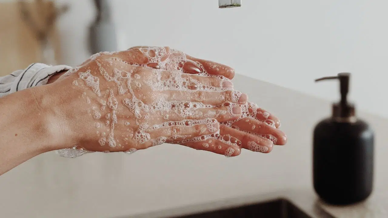 La journée mondiale du lavage des mains : le 14 octobre 2023 La journée mondiale du lavage des mains : le 14 octobre 2023