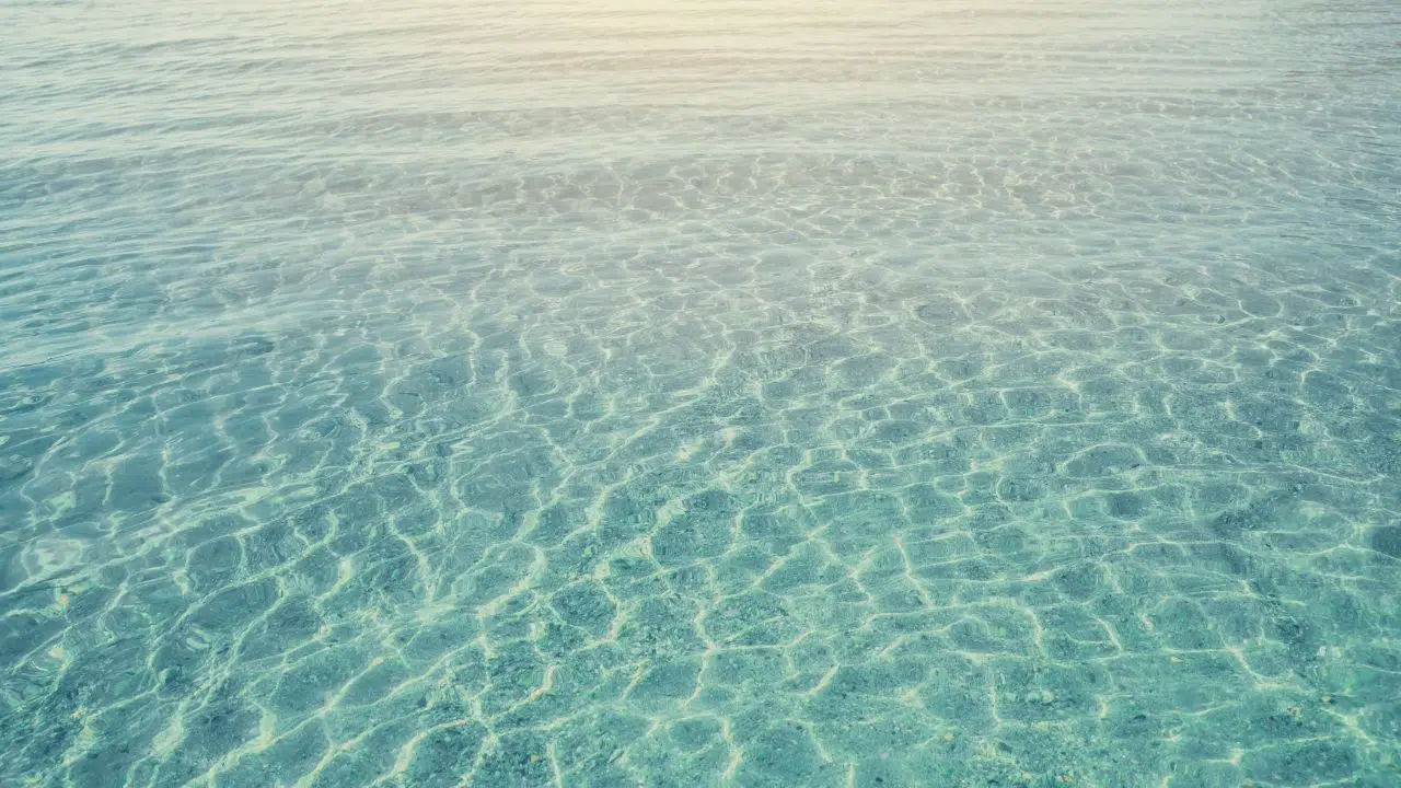 Lenovo et Oceanbox.io: une alliance technologique pour révéler les mystères des océans Lenovo et Oceanbox.io: une alliance technologique pour révéler les mystères des océans