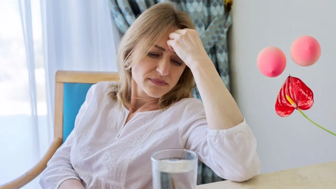 Journée mondiale de la ménopause : le 18 octobre 2023 Journée mondiale de la ménopause : le 18 octobre 2023