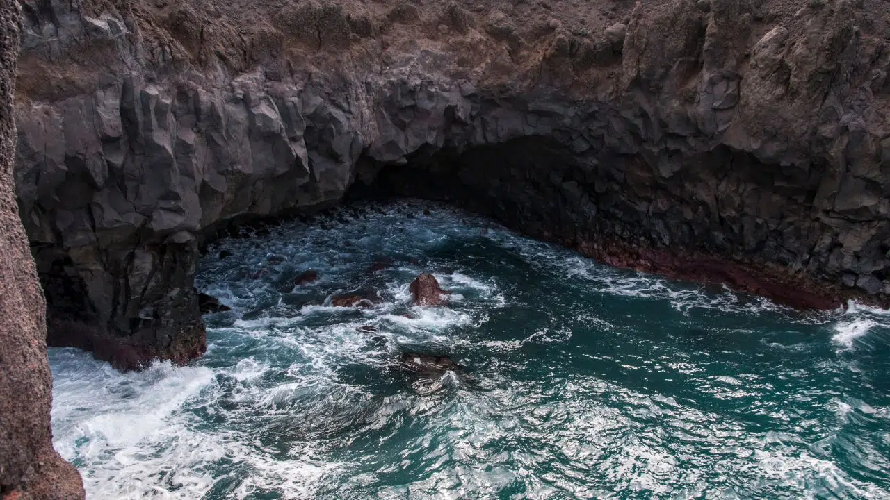 BLUE4ALL : Vers une nouvelle ère de conservation marine grâce à la cocréation BLUE4ALL : Vers une nouvelle ère de conservation marine grâce à la cocréation