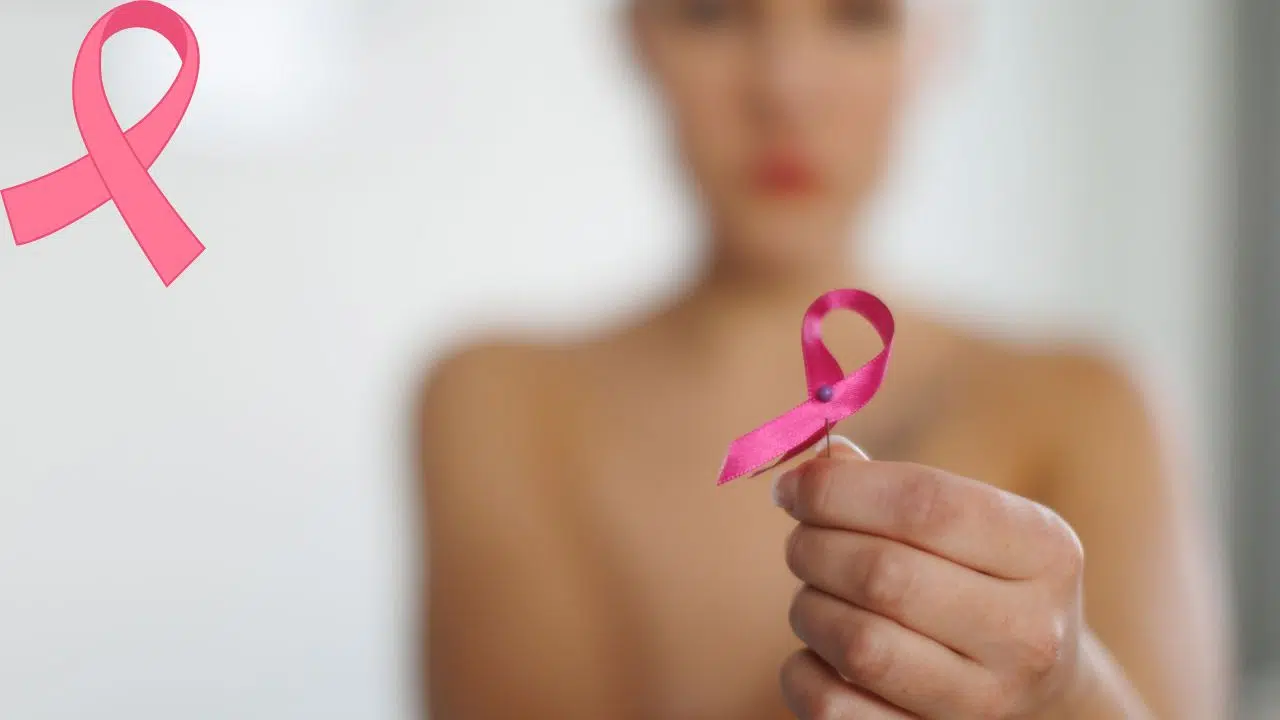 Octobre rose : l'intelligence artificielle au cœur du combat contre le cancer du sein Octobre rose : l'intelligence artificielle au cœur du combat contre le cancer du sein