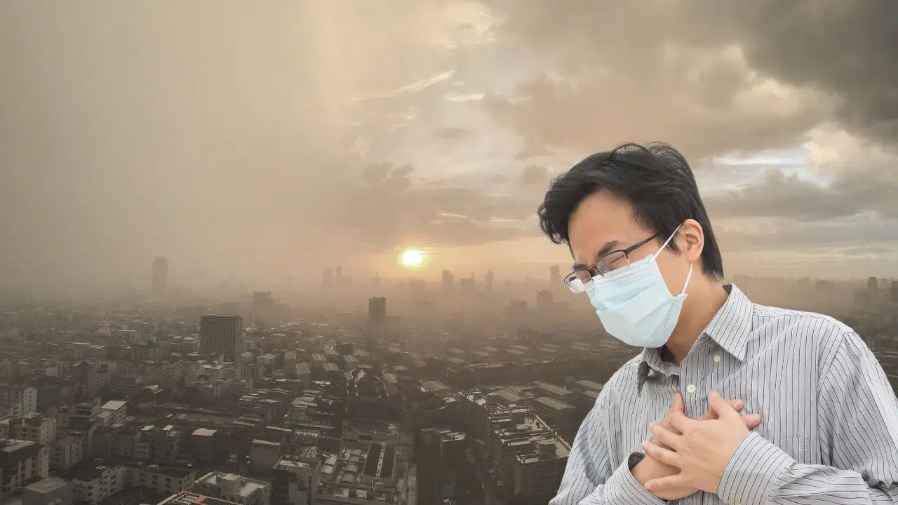 Journée nationale de la qualité de l'air : le 14 octobre 2023 Journée nationale de la qualité de l'air : le 14 octobre 2023