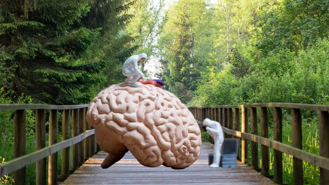 Journée mondiale de la santé mentale : le 10 octobre 2023 Journée mondiale de la santé mentale : le 10 octobre 2023