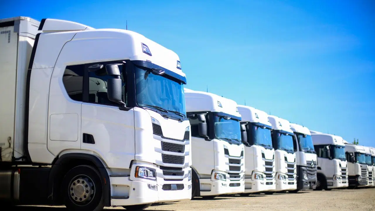 Le Groupe familial Coquelle réorganise son capital pour une nouvelle phase de croissance Le Groupe familial Coquelle réorganise son capital pour une nouvelle phase de croissance