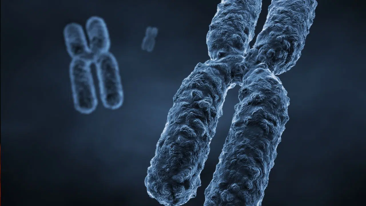 La journée internationale de l'X fragile : le 10 octobre 2023 La journée internationale de l'X fragile : le 10 octobre 2023