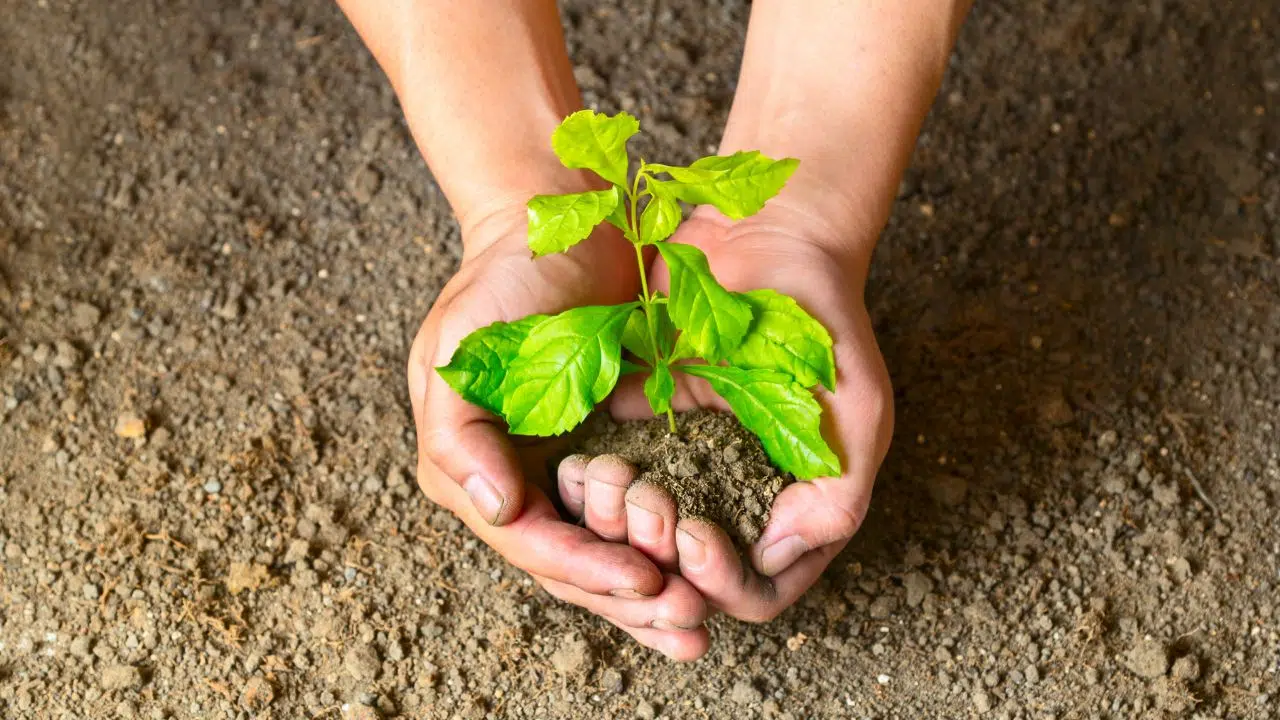 Lancement des COP Territoriales en France Lancement des COP Territoriales en France