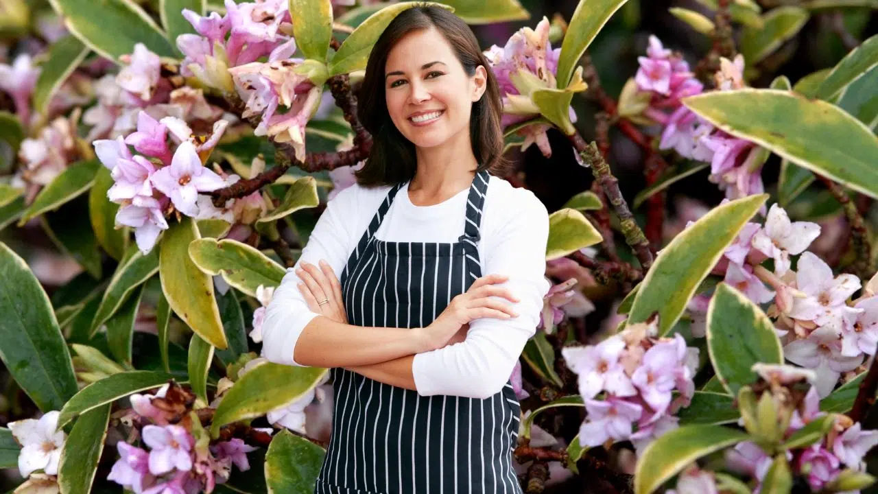 Quel arbuste planter durant l'hiver ? Quel arbuste planter durant l'hiver ?