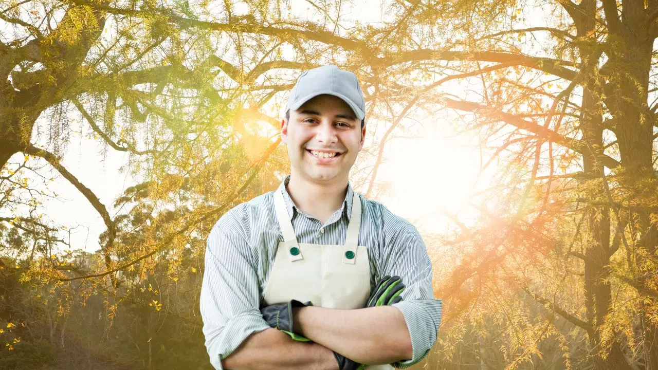 Comment faire un trésor de vos feuilles mortes Comment faire un trésor de vos feuilles mortes