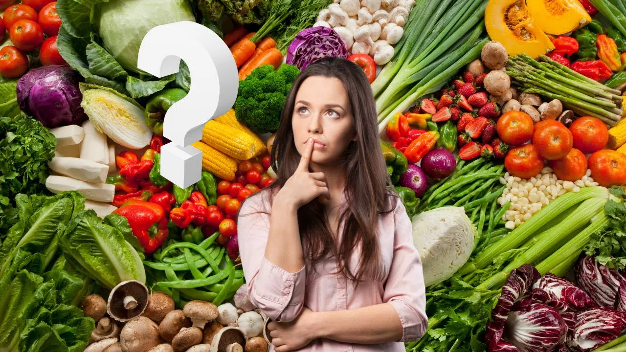 Pour les passionnés de jardinage désirant cultiver des légumes en toutes saisons, la construction d'une serre tunnel est une solution idéale. Pour les passionnés de jardinage désirant cultiver des légumes en toutes saisons, la construction d'une serre tunnel est une solution idéale.