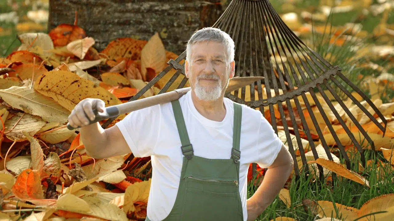 Jardinage : les 5 fondamentaux pour préparer vote potager à affronter l'Hiver Jardinage : les 5 fondamentaux pour préparer vote potager à affronter l'Hiver