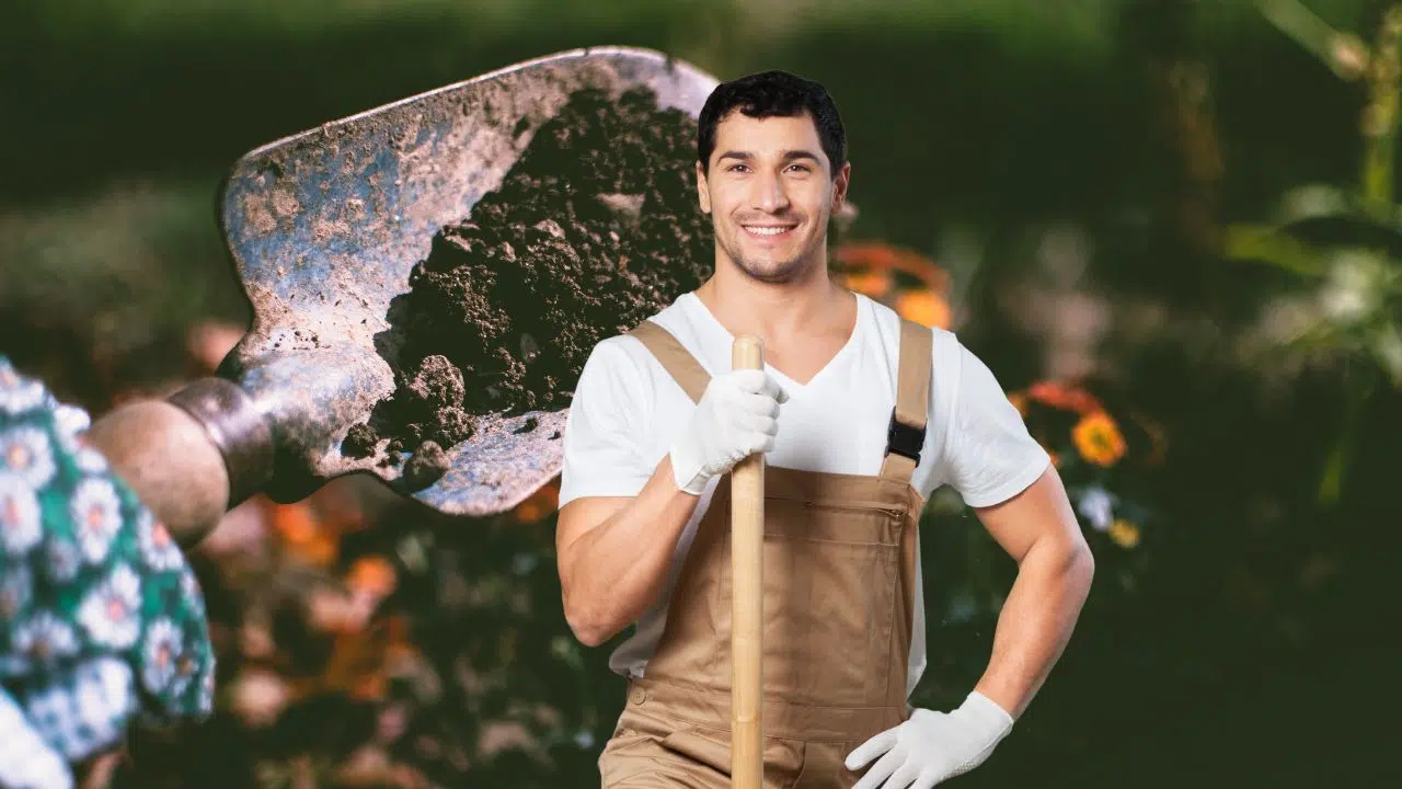 Pensez à enrichir votre sol pour assurer la croissance de vos plantes et légumes !