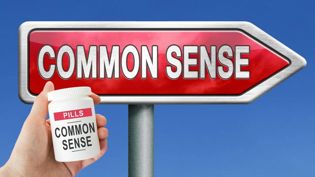 Journée du bon sens : le 4 novembre 2023 Journée du bon sens : le 4 novembre 2023