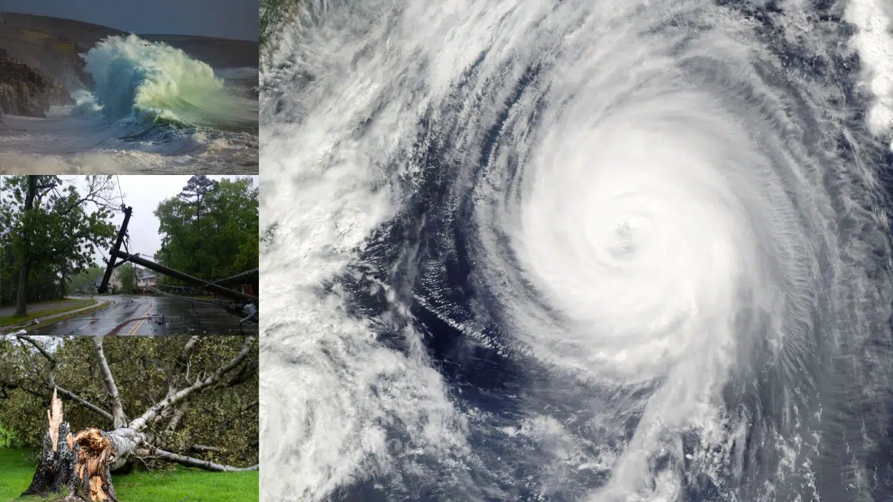 Bilan et réactions suite au déchaînement de la tempête Domingos : Dimanche 5 novembre 2023 Bilan et réactions suite au déchaînement de la tempête Domingos : Dimanche 5 novembre 2023