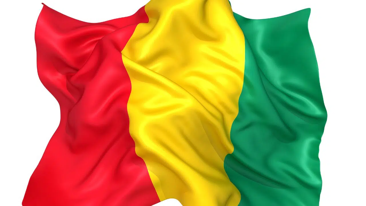 Bpifrance et le FGPE Guinéen unissent leurs forces pour dynamiser le financement des PME en Guinée Bpifrance et le FGPE Guinéen unissent leurs forces pour dynamiser le financement des PME en Guinée