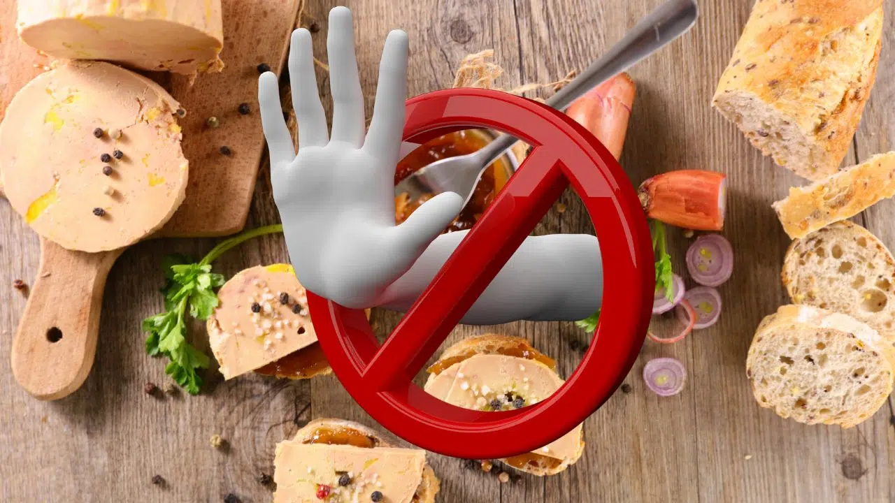 Journée mondiale anti foie gras : le 25 novembre 2023 Journée mondiale anti foie gras : le 25 novembre 2023