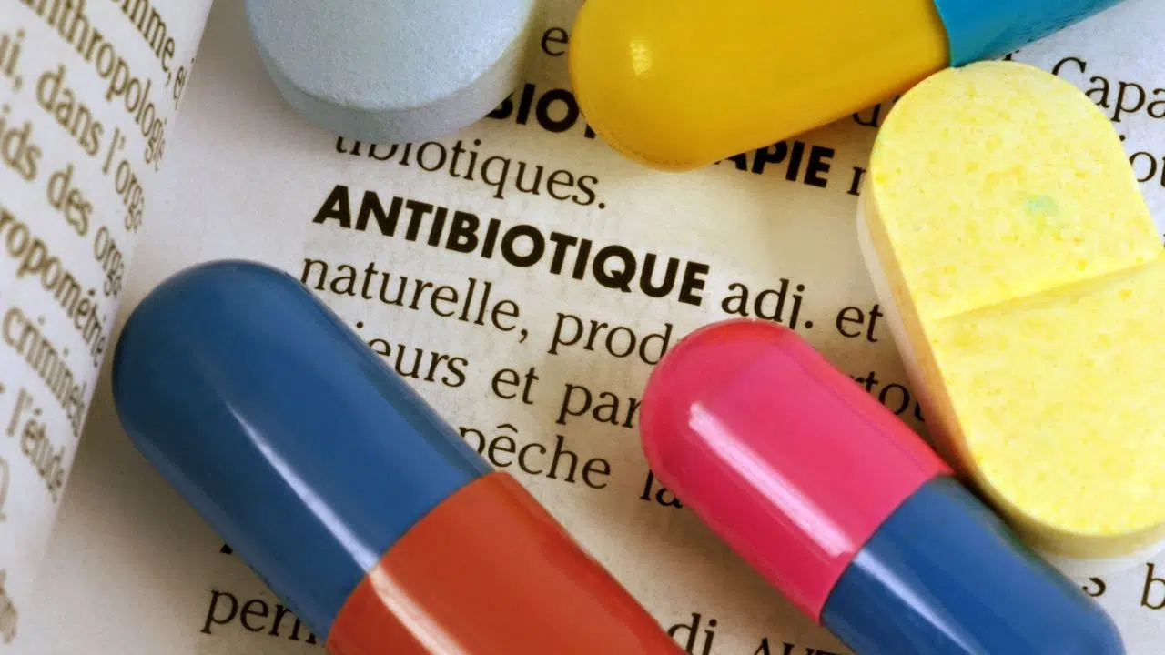 Journée européenne d'information sur les antibiotiques : le 18 novembre 2023 Journée européenne d'information sur les antibiotiques : le 18 novembre 2023