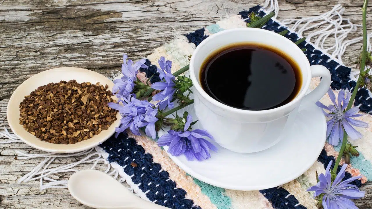 Journée de la chicorée : le 23 novembre 2023 Journée de la chicorée : le 23 novembre 2023