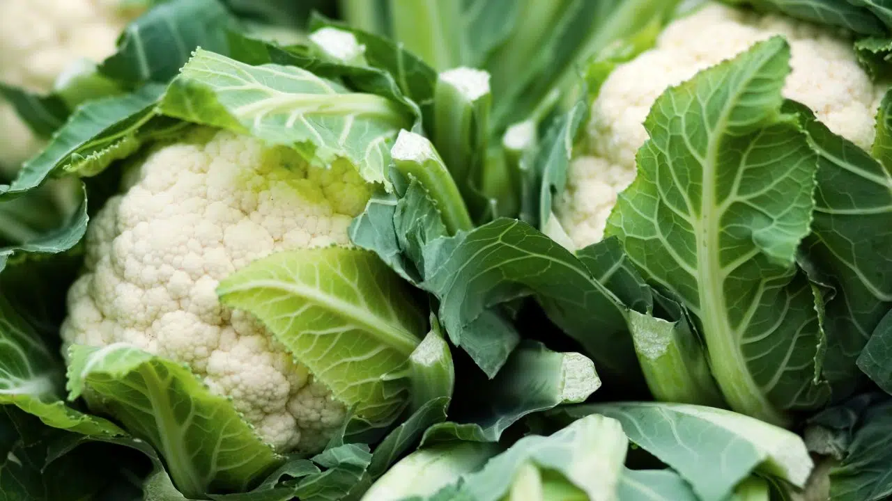 Jour du Chou-fleur : le 27 novembre 2023 Jour du Chou-fleur : le 27 novembre 2023