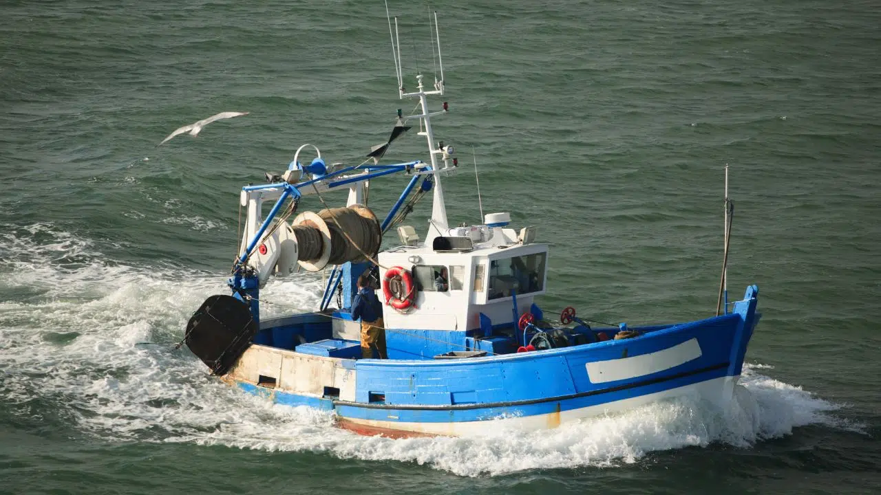Journée mondiale des pêcheurs artisans et des travailleurs de la mer : le 21 novembre 2023 Journée mondiale des pêcheurs artisans et des travailleurs de la mer : le 21 novembre 2023