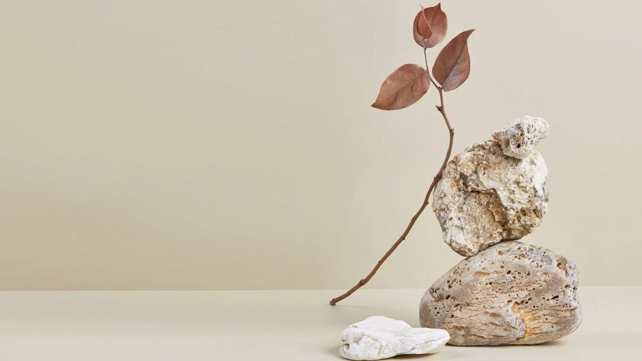 Journée mondiale de la philosophie : le 16 novembre 2023 Journée mondiale de la philosophie : le 16 novembre 2023