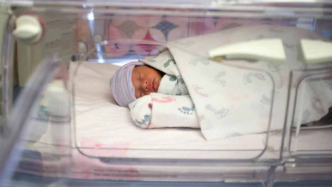 Journée mondiale de la prématurité : le 17 novembre 2023 Journée mondiale de la prématurité : le 17 novembre 2023