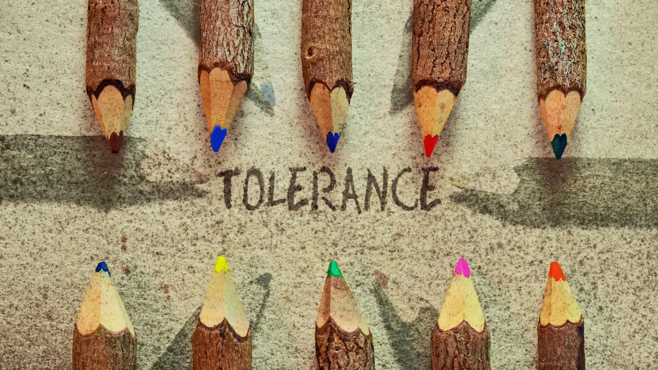 Journée internationale de la tolérance : le 16 novembre 2023 Journée internationale de la tolérance : le 16 novembre 2023