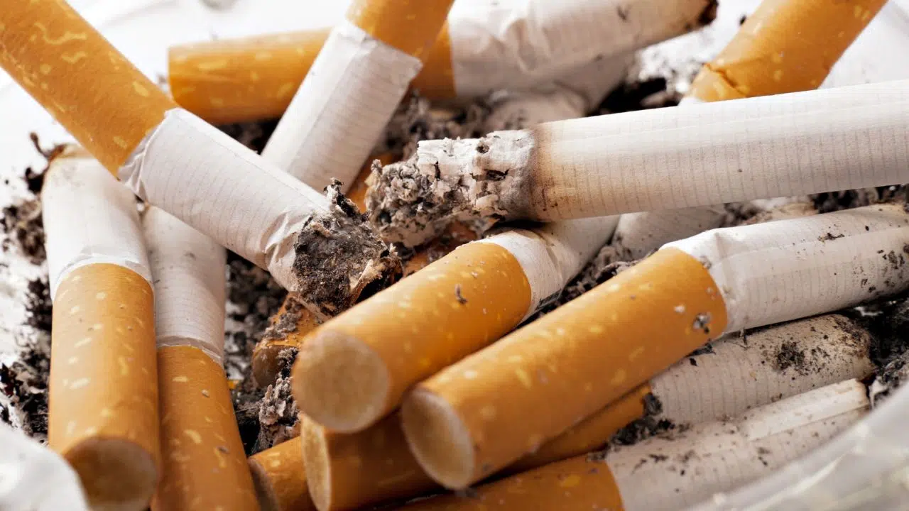 Tabagisme : Les plages, parcs, forêts et abords d'établissements scolaires deviendront des zones non-fumeurs ! Tabagisme : Les plages, parcs, forêts et abords d'établissements scolaires deviendront des zones non-fumeurs !