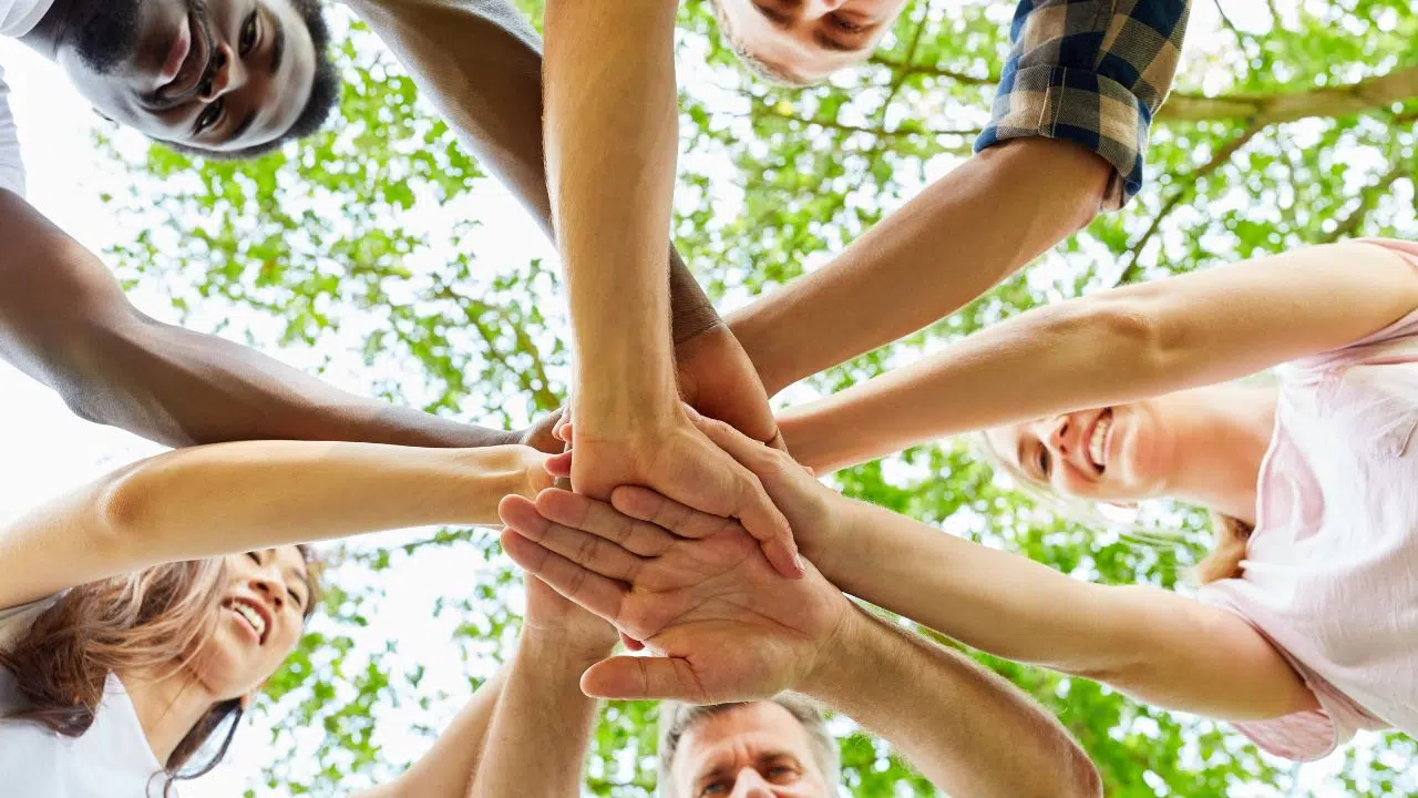 Mois de l'Economie Sociale et Solidaire (ESS) : du 6 au 26 novembre 2023 Mois de l'Economie Sociale et Solidaire (ESS) : du 6 au 26 novembre 2023