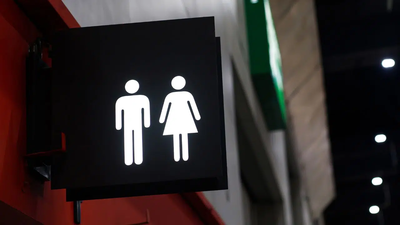 Journée mondiale des toilettes : le 19 novembre 2023 Journée mondiale des toilettes : le 19 novembre 2023