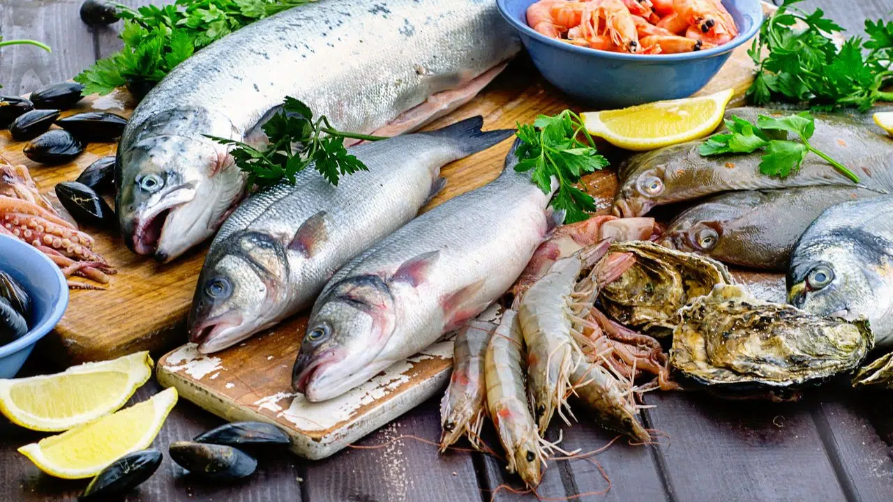 Alerte sanitaire au Bassin d’Arcachon Pourquoi une interdiction de pêche et de commercialisation des coquillages ! Alerte sanitaire au Bassin d’Arcachon Pourquoi une interdiction de pêche et de commercialisation des coquillages !