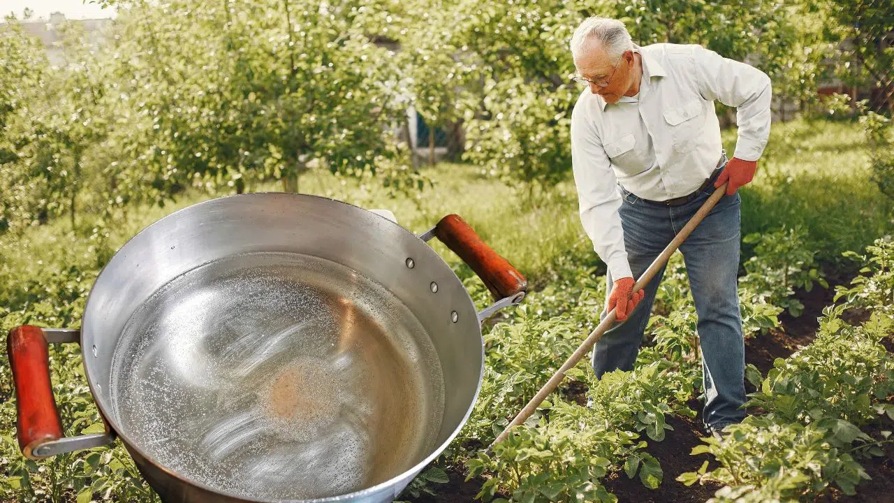 Vous jetez l'eau de vos pâtes ? C'est une erreur ! Découvrez cette utilisation méconnue pour votre jardin Vous jetez l'eau de vos pâtes ? C'est une erreur ! Découvrez cette utilisation méconnue pour votre jardin