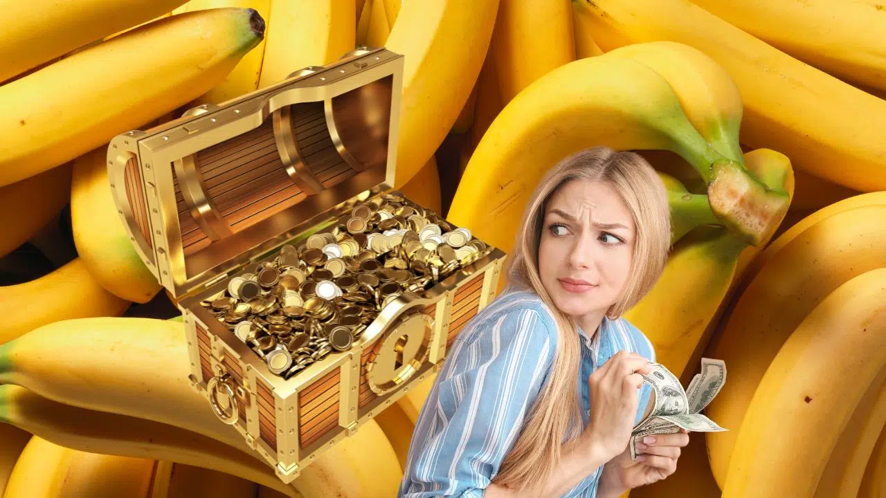 Vous ne connaissez pas la technique qui transformera vos bananes en or ?