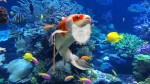 Benjamin Button de la mer ? Ces poissons vivent 100 ans et semblent rajeunir avec l'âge