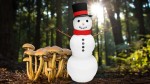 Il neige ? Et si on allait cueillir des champignons ?