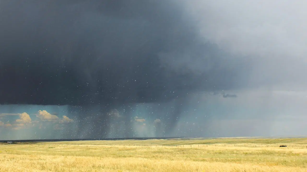Impact des tempêtes Ciaran et Domingos sur l'agriculture Évaluation par Groupama Impact des tempêtes Ciaran et Domingos sur l'agriculture Évaluation par Groupama