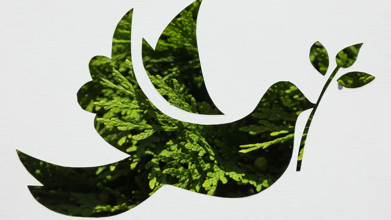 Journée mondiale de la paix du 1 janvier 2024 Intelligence artificielle et paix Journée mondiale de la paix du 1 janvier 2024 Intelligence artificielle et paix