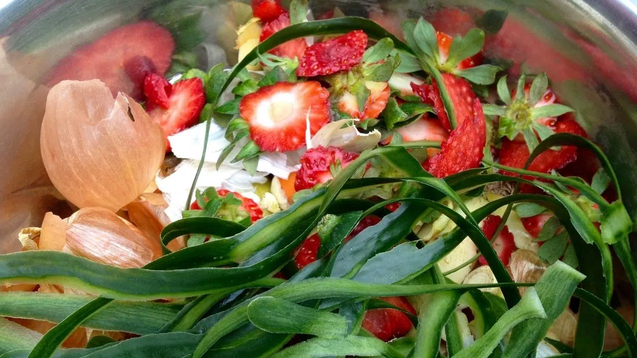 Le tri des biodéchets en France Une obligation dès le 1er janvier 2024 ! Le tri des biodéchets en France Une obligation dès le 1er janvier 2024 !