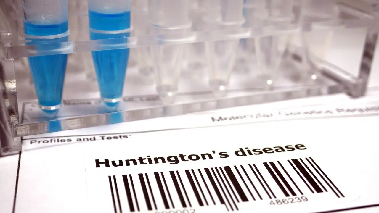 Journée Française de la Maladie d'Huntington le 6 décembre 2023 Journée Française de la Maladie d'Huntington le 6 décembre 2023